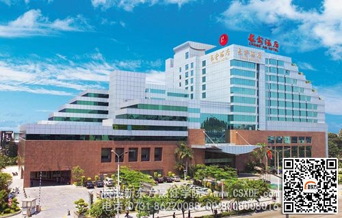 ��ݸ�����Ƶ���Ƹ