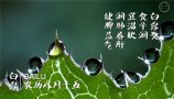 <b><font color='#333333'>ϵ24¶ƪ</font></b>