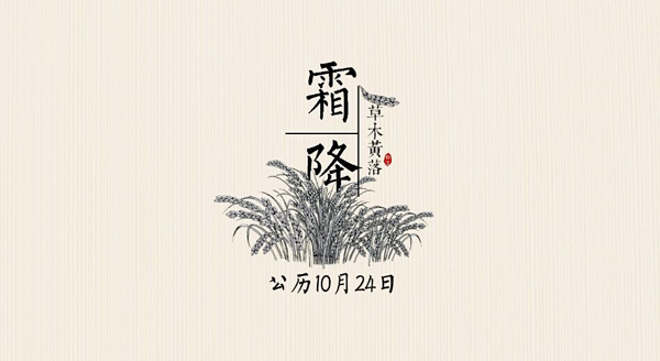 ϵ24֮˪ƪ