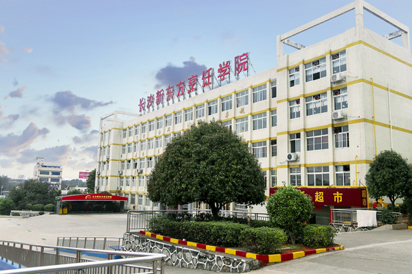 长沙新东方学费多少