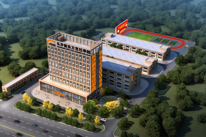 长沙新东方烹饪学校好吗?靠谱吗?