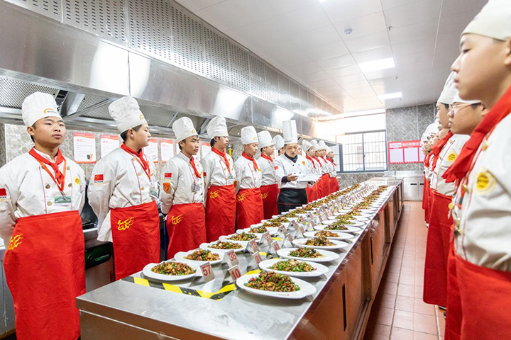 职业教育