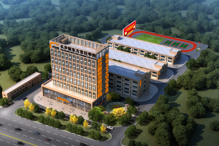新东方烹饪学校