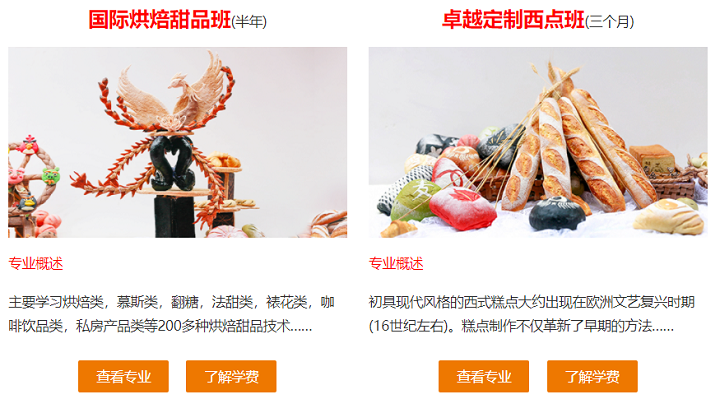 短期热门专业