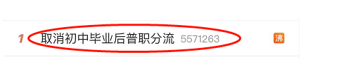 取消初中毕业后普职分流