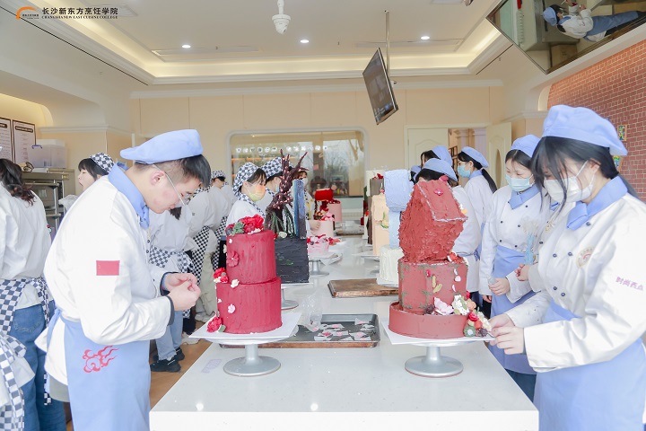 女生能学什么专业