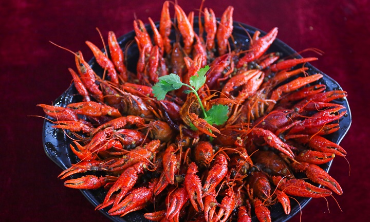 长沙新东方餐饮培训班