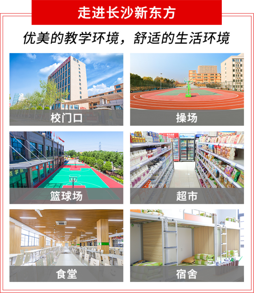长沙新东方七大实训步骤