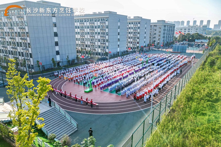 职业教育