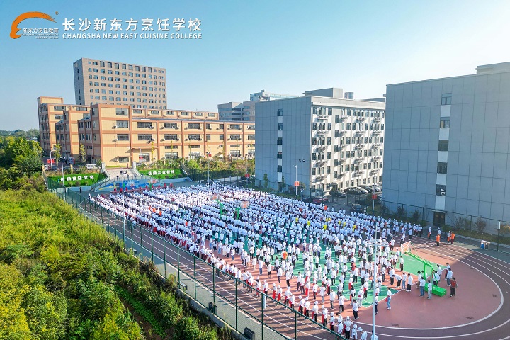 中考择校指南