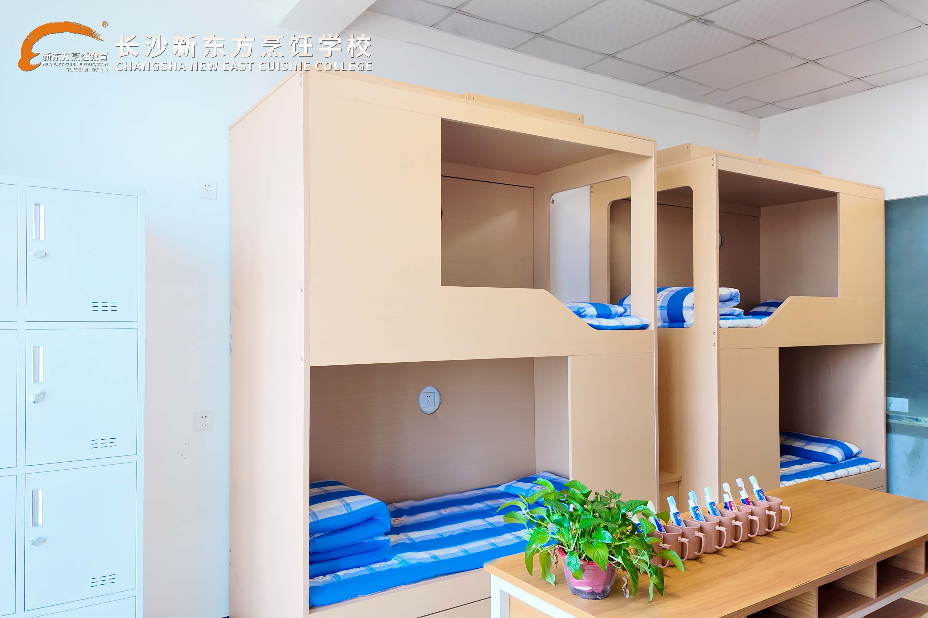 中国学厨师去哪里学最好