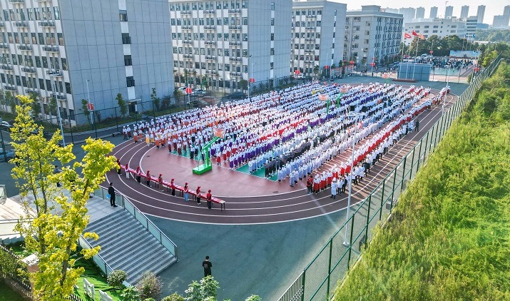 �������ɼ�������