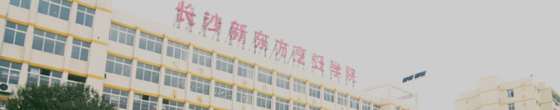 【新东方烹饪学堂】大盆窝笋