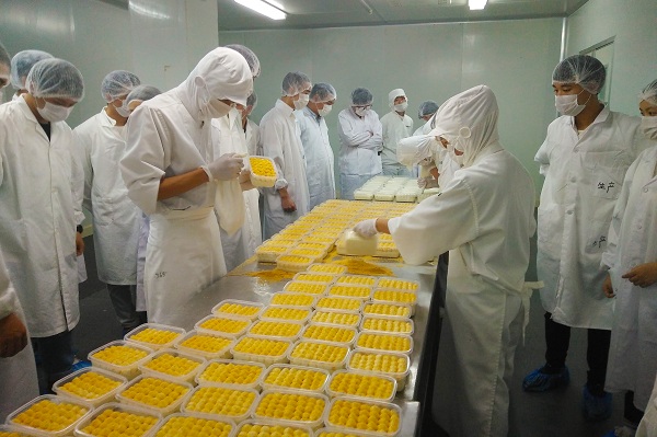 长沙新东方学子走进仟吉 深度体验参观