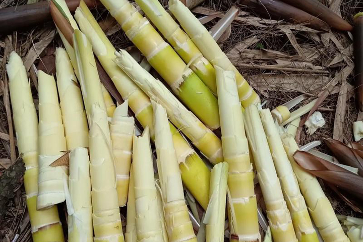 3�³�ʲô�߲����